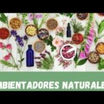 🌿 Ambientador casero natural: ¡Descubre cómo perfumar tu hogar de forma ecológica!